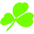 Lingus Airlines
